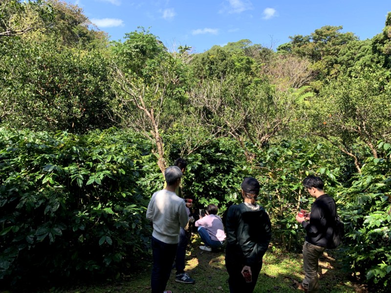 中山コーヒー園（沖縄｜名護市)